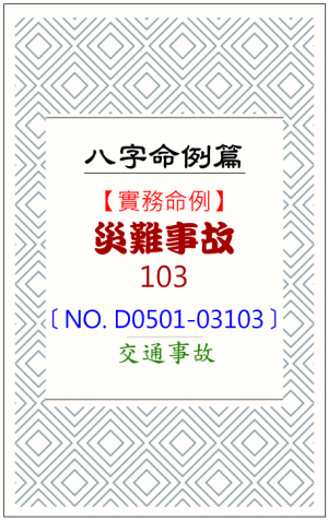 D0501-03103_災難事故