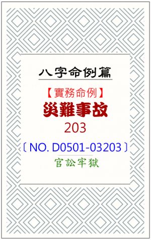 D0501-03203_災難事故